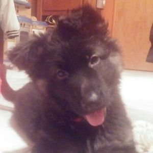 Meet your Posher, Christi